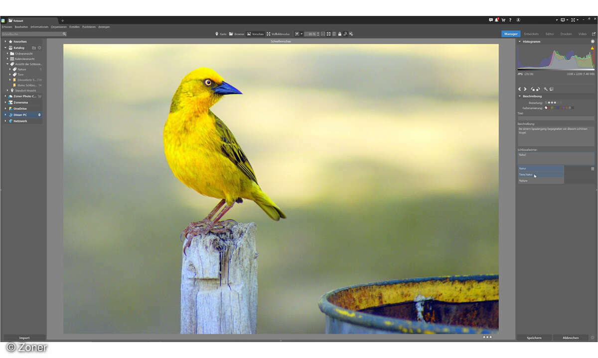 Online_Zoner-Photo-Studio-X_Screenshot-Bildauswahl