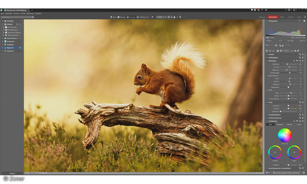 Online_Zoner-Photo-Studio-X_Screenshot-Entwickeln