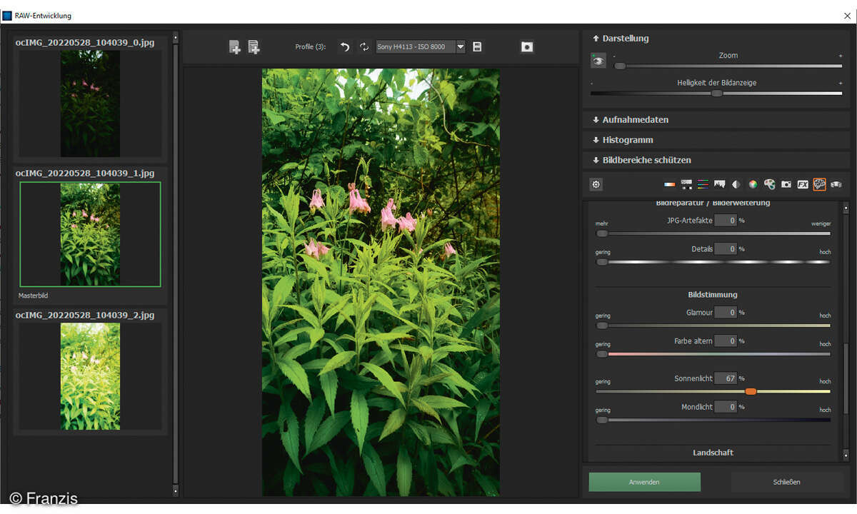 Online_Franzis-HDR-Projects-10-Professional_Screenshot-RAW-Entwicklung