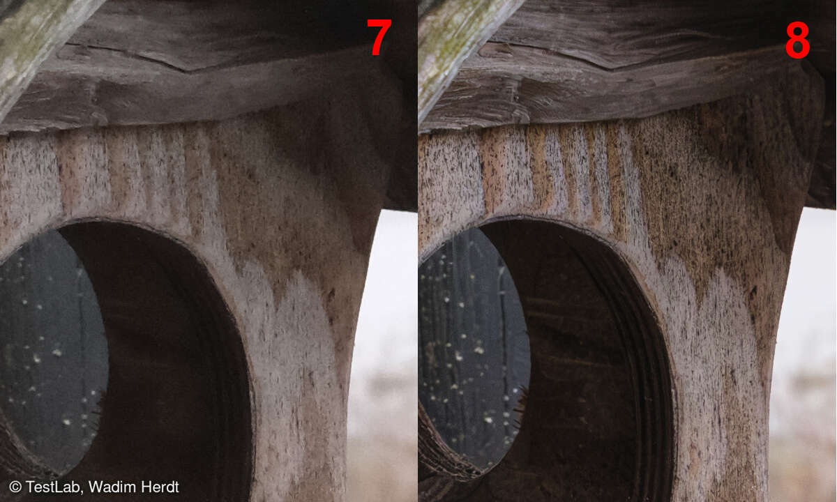ISO-Vergleich: JPEG gegen RAW bei ISO 3200