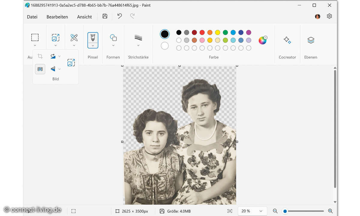 Windows Copilot: Screenshot Paint Motiv freistellen