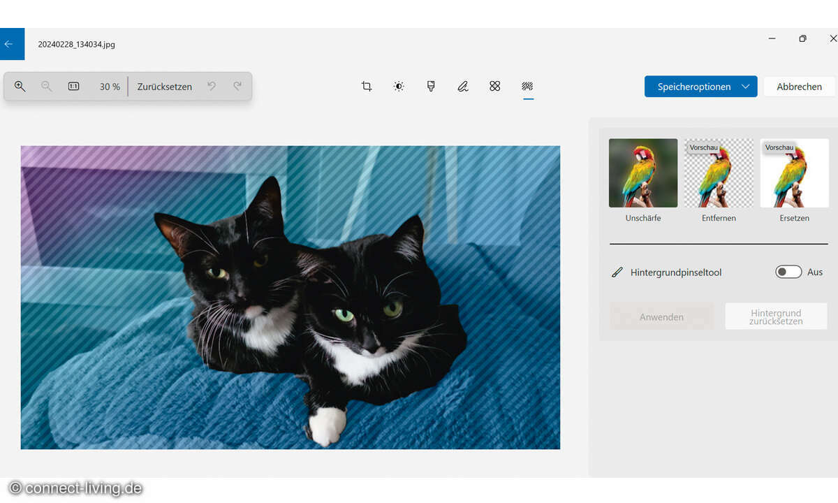 Windows Copilot: Motive in der Windows-Fotoanzeige freistellen Screenshot 2