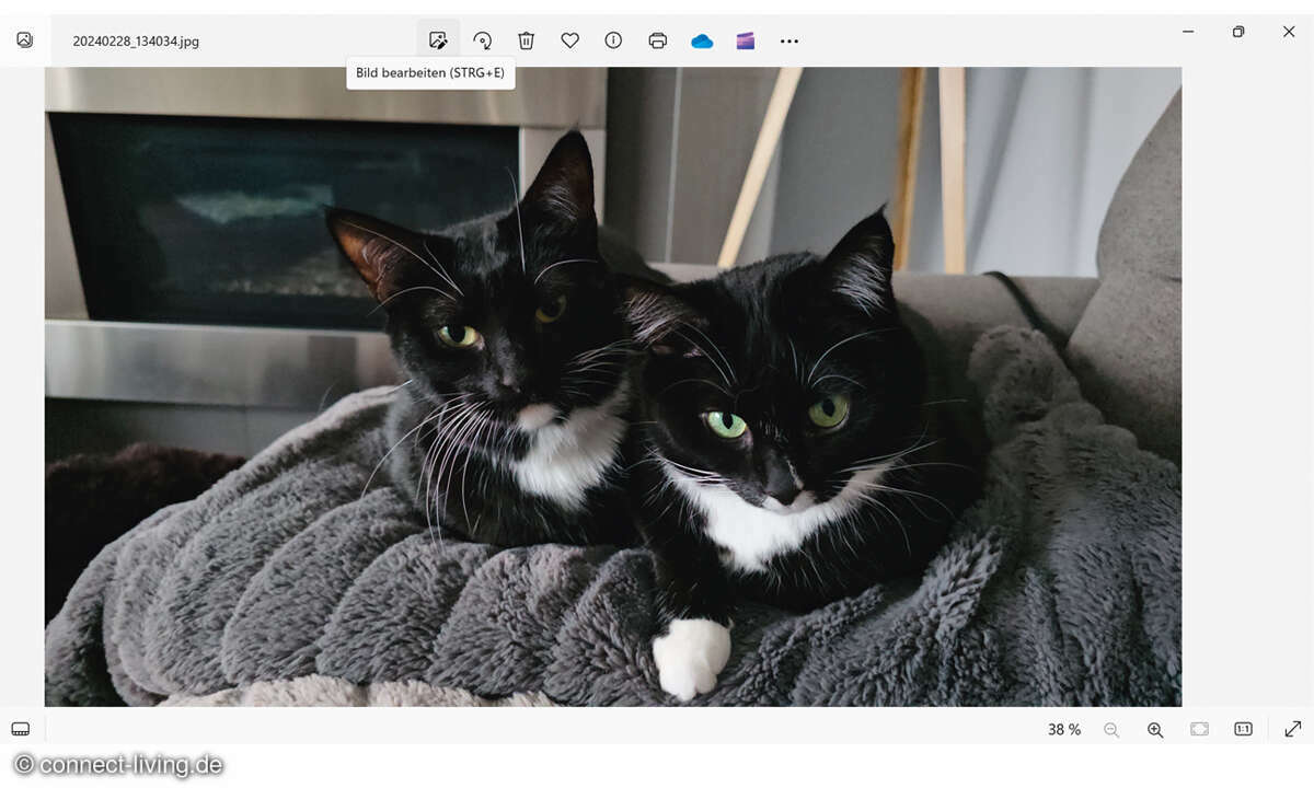 Windows Copilot: Motive in der Windows-Fotoanzeige freistellen Screenshot 1