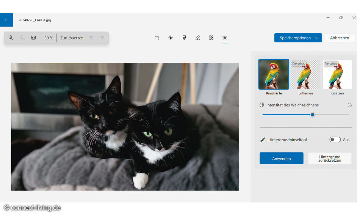 Windows Copilot: Motive in der Windows-Fotoanzeige freistellen Screenshot 3