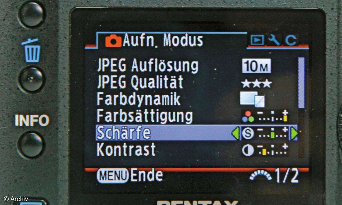 Monitor Pentax K10D