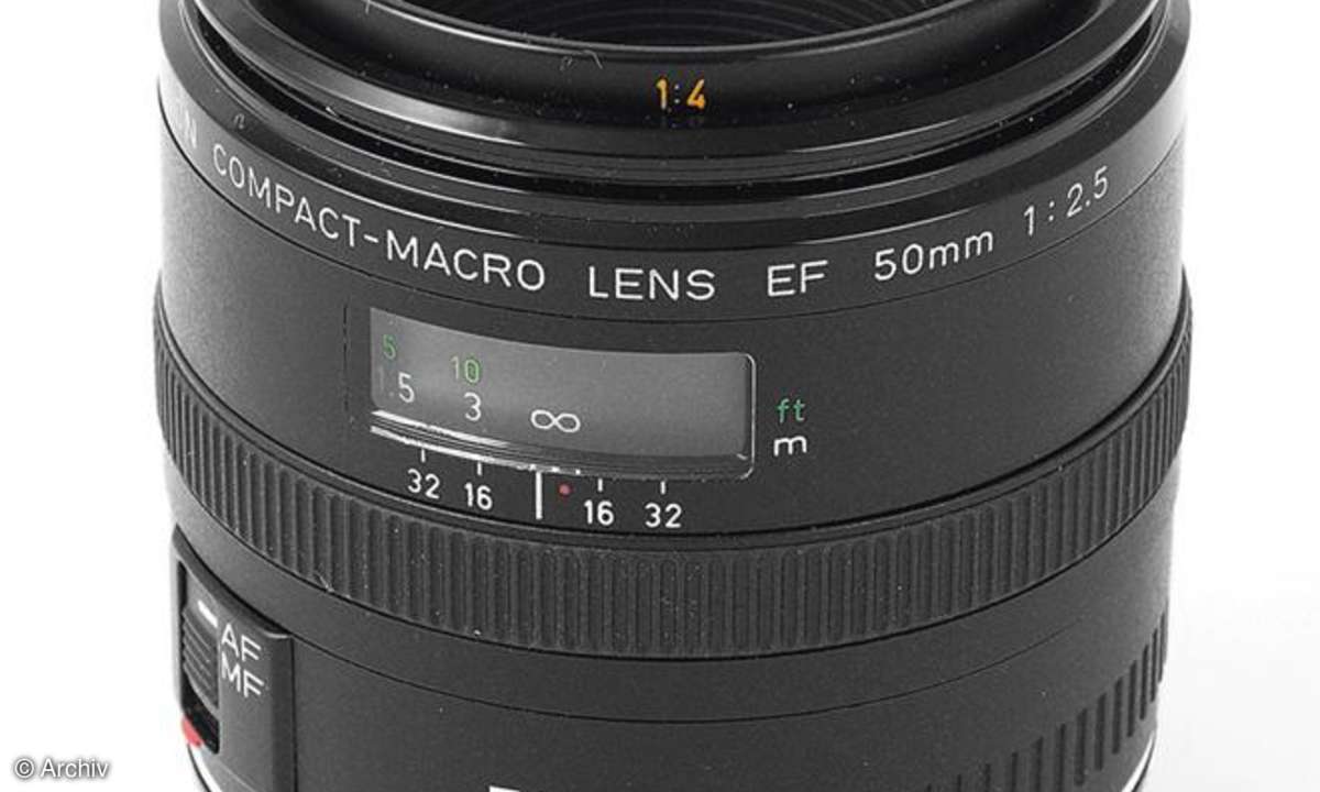 Canon EF 2,5/50 mm Makro Aufmacher