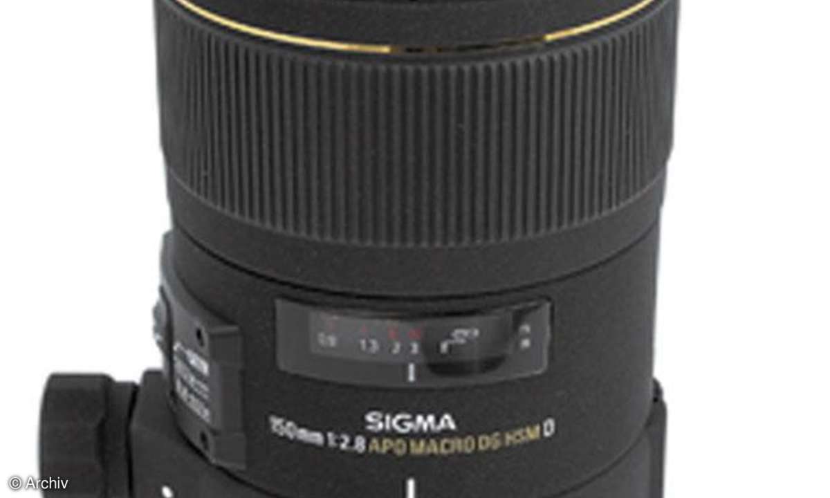 Sigma EX 2,8/150 mm DG HSM Macro APO Seitenansicht