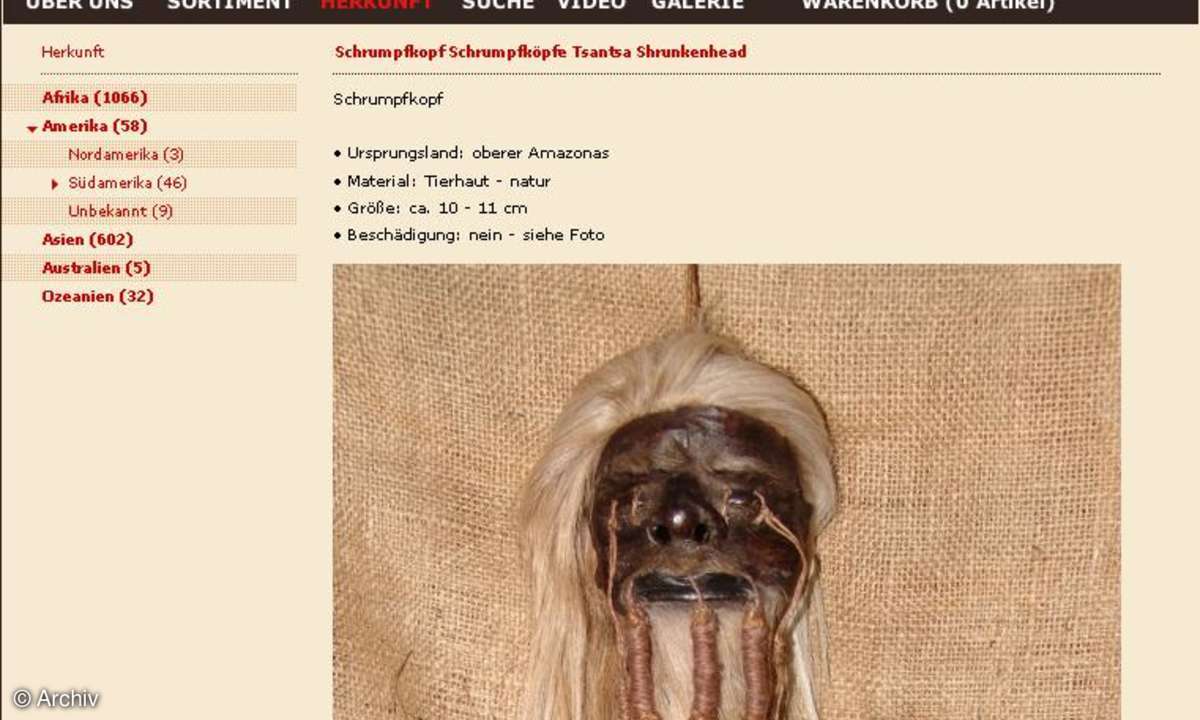 Schrumpfkopf von Hafenbasar.de