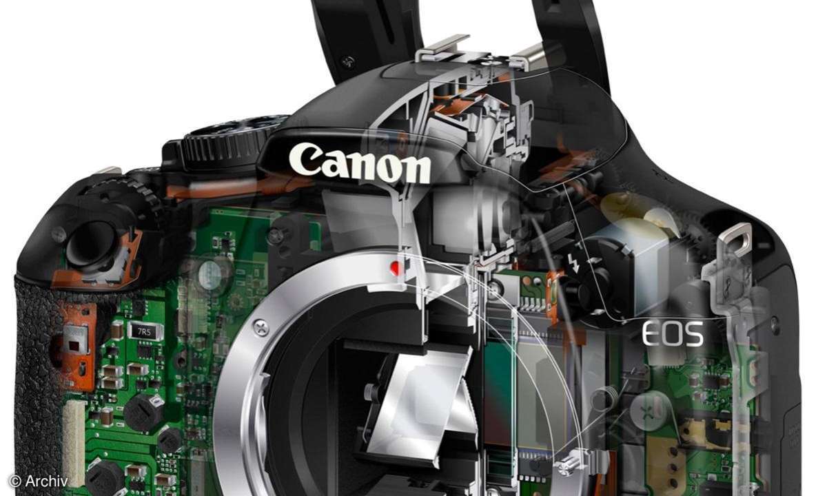 Canon EOS 450D mit 12 Megapixeln und 3-Zoll-Display