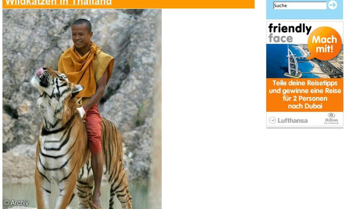 Coole Websites: friendlyface.com