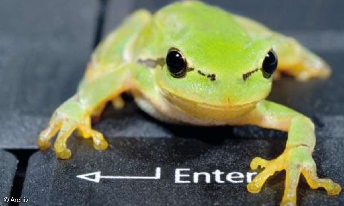 Kleine Hilfen für das optimale Foto