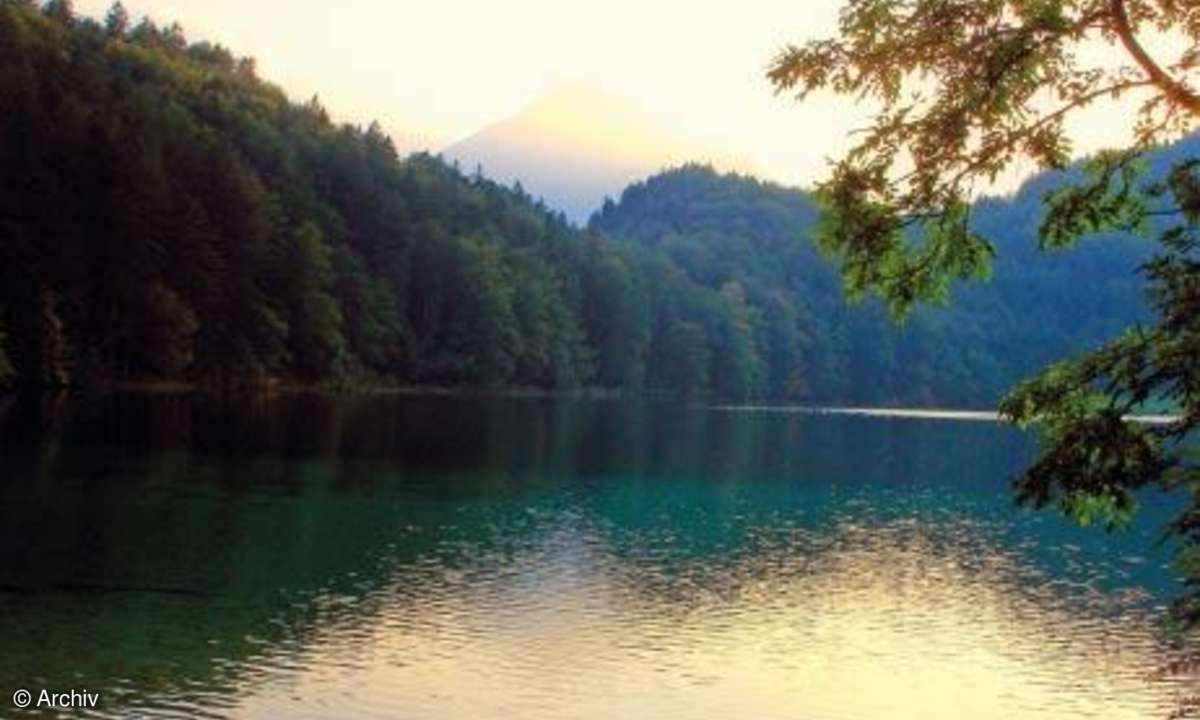 Kleine Hilfen für das optimale Foto