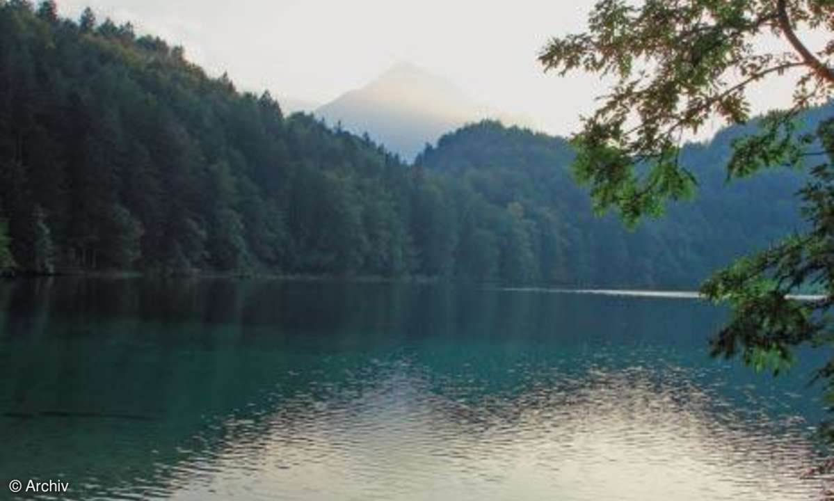Kleine Hilfen für das optimale Foto