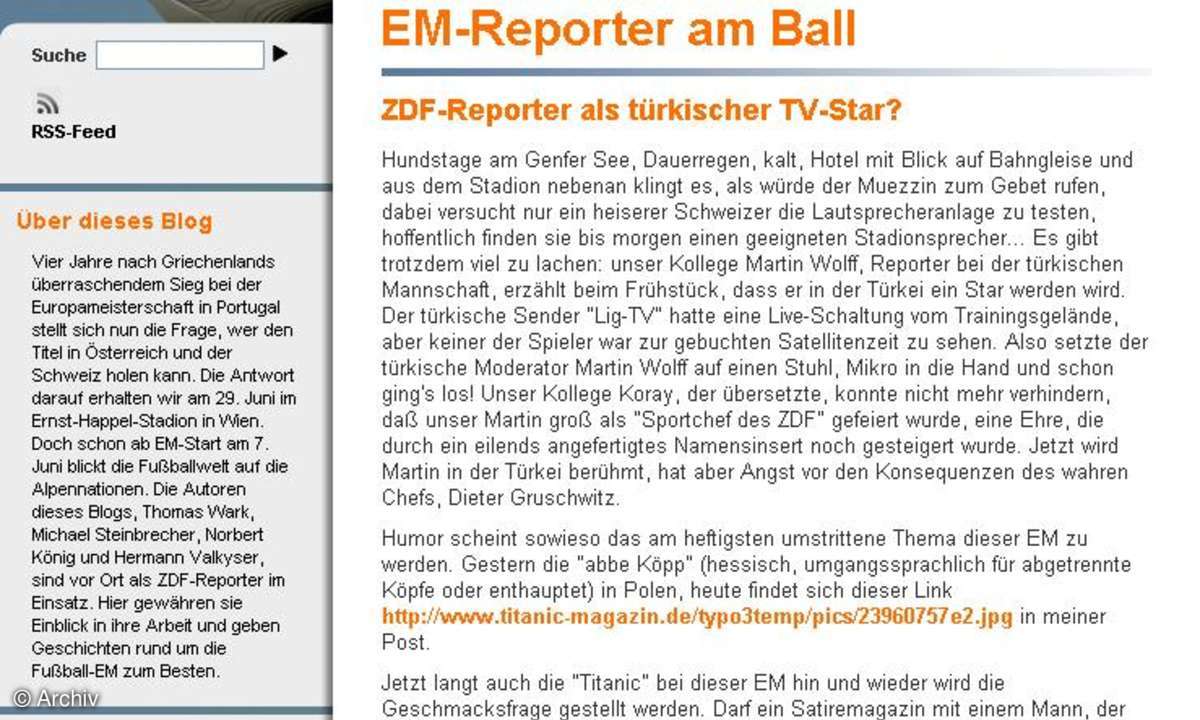 Fußball-EM: ZDF EM-Reporter