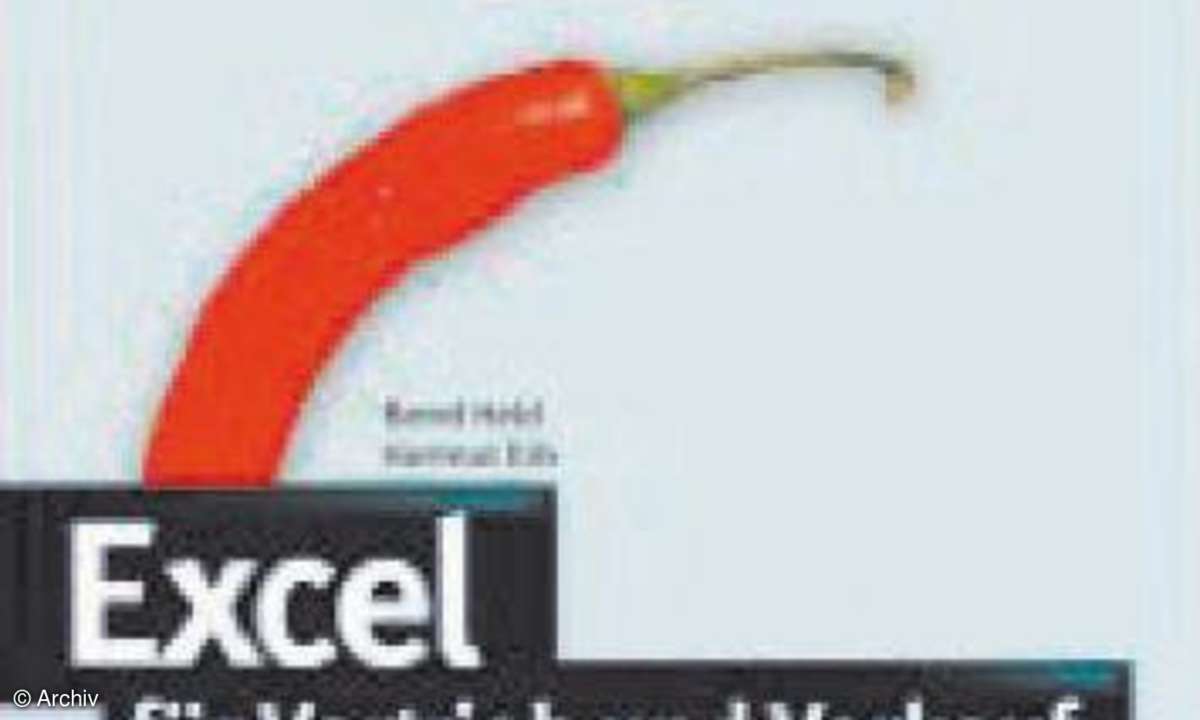 Software Excel: Excel-Datenbankfunktionen