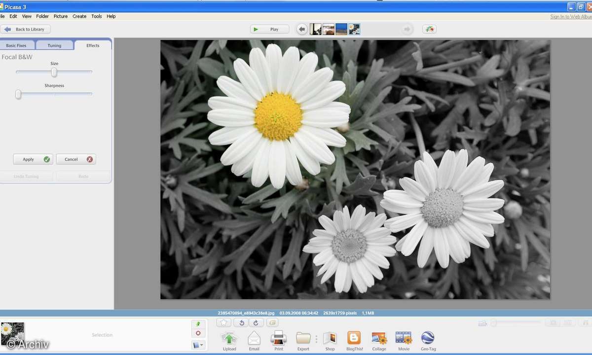 Picasa 3 ist fertig