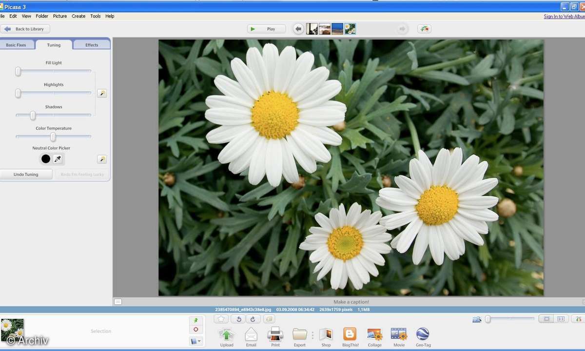 Picasa 3 ist fertig