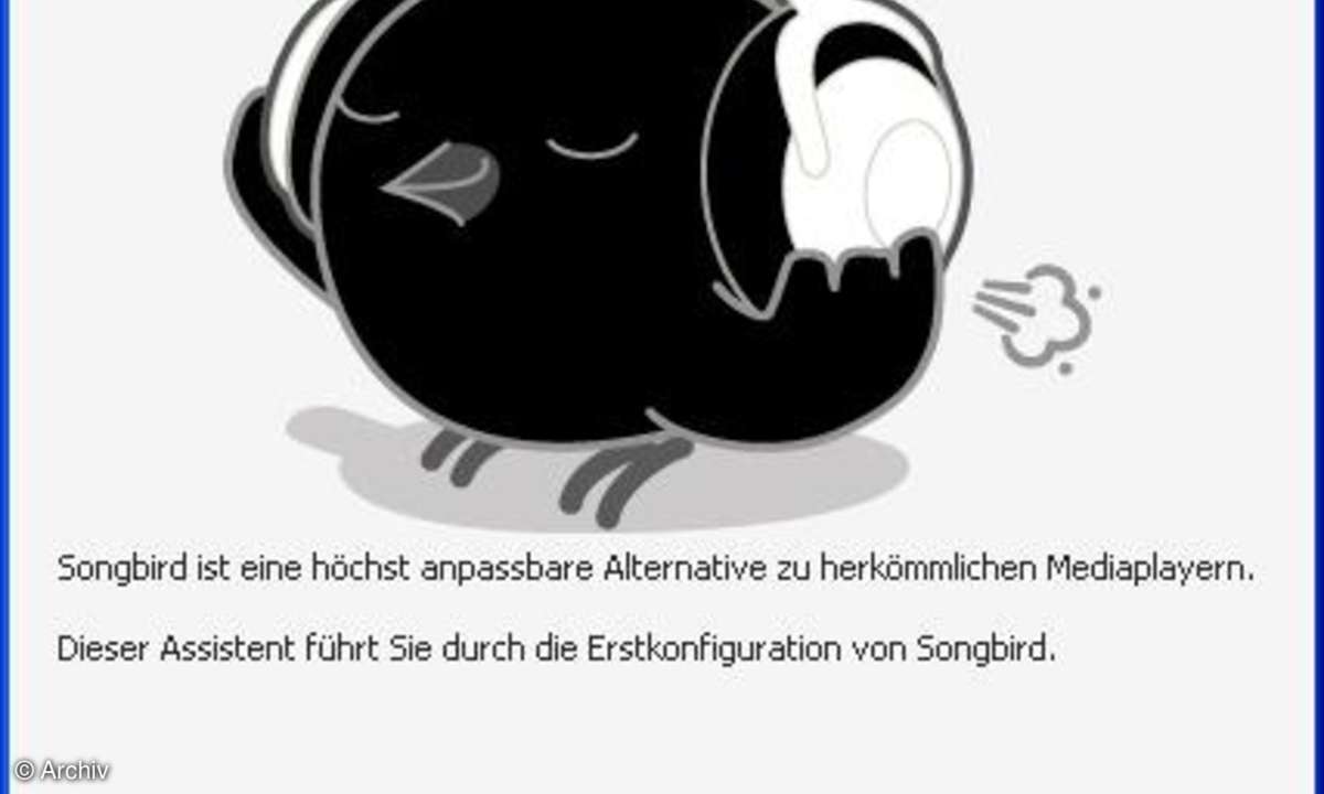 So wird Songbird installiert