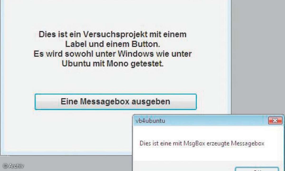 IT Professional: VB2005/2008, .NET und Linux