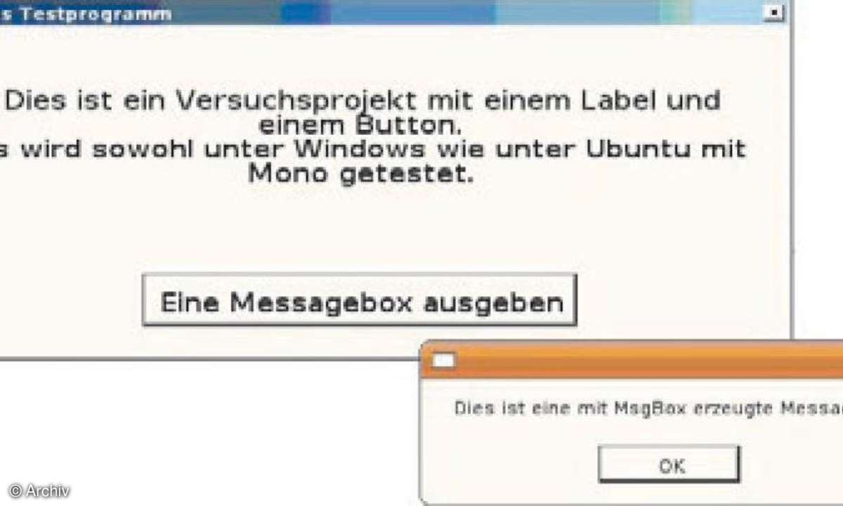 IT Professional: VB2005/2008, .NET und Linux