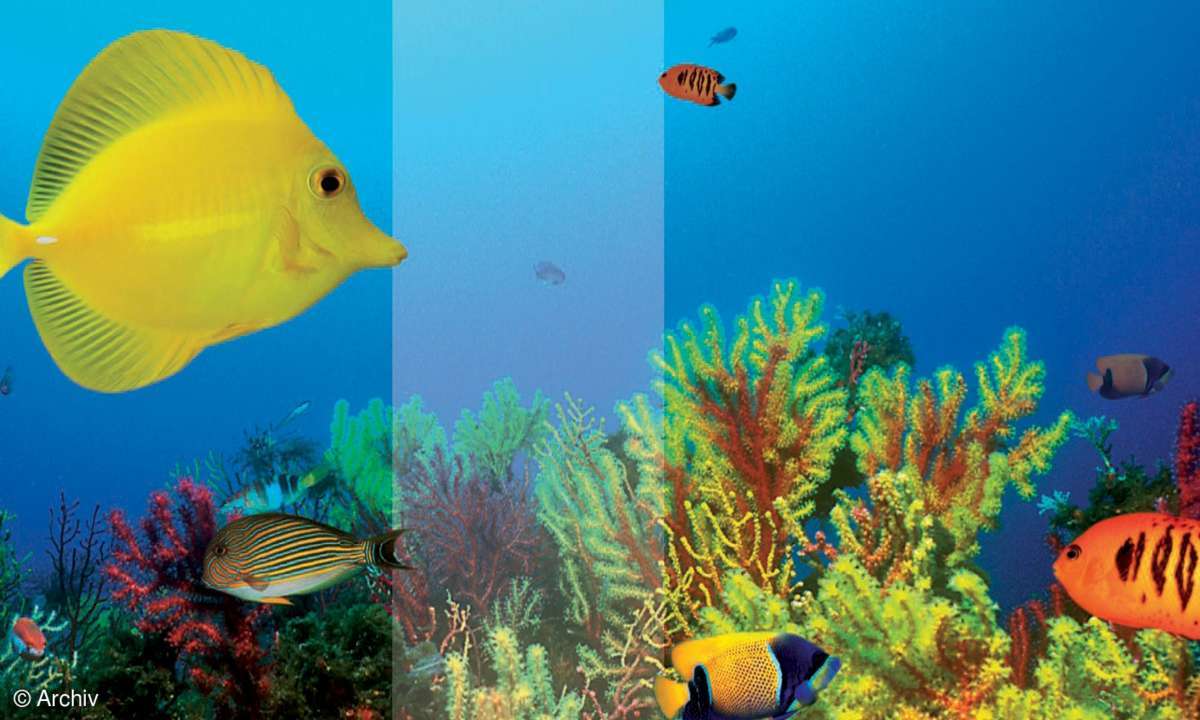 Test TV & Beamer: Fernseher