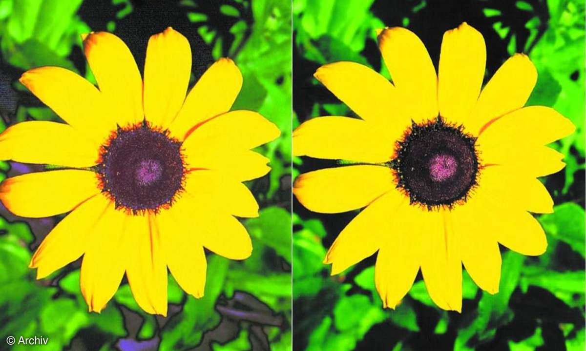 Tipps für den Fotodruck