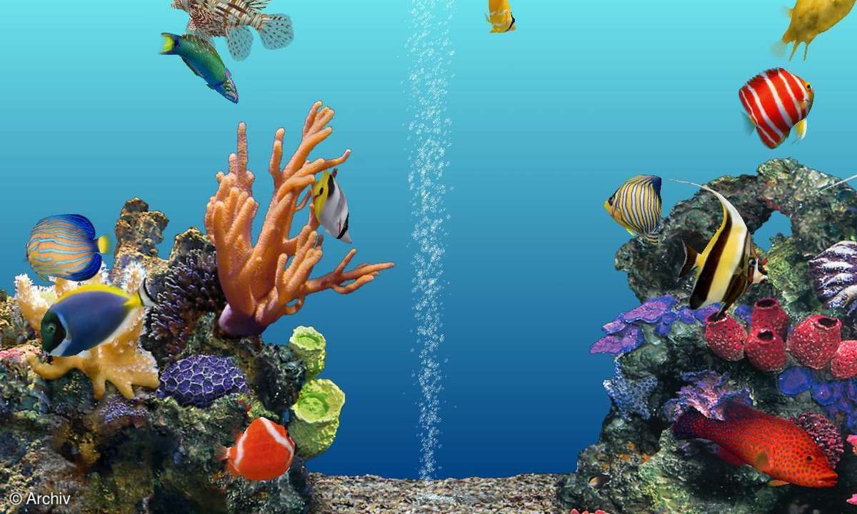 S.A.D. Digifish