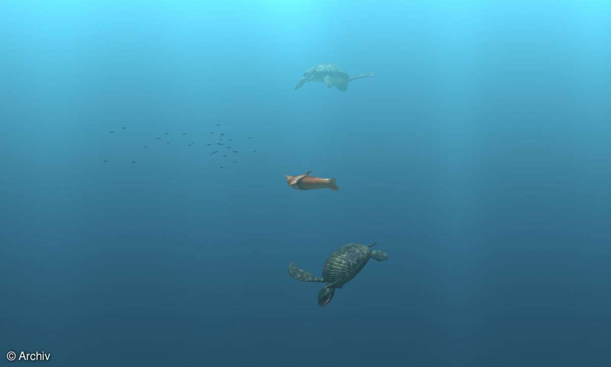 S.A.D. Digifish