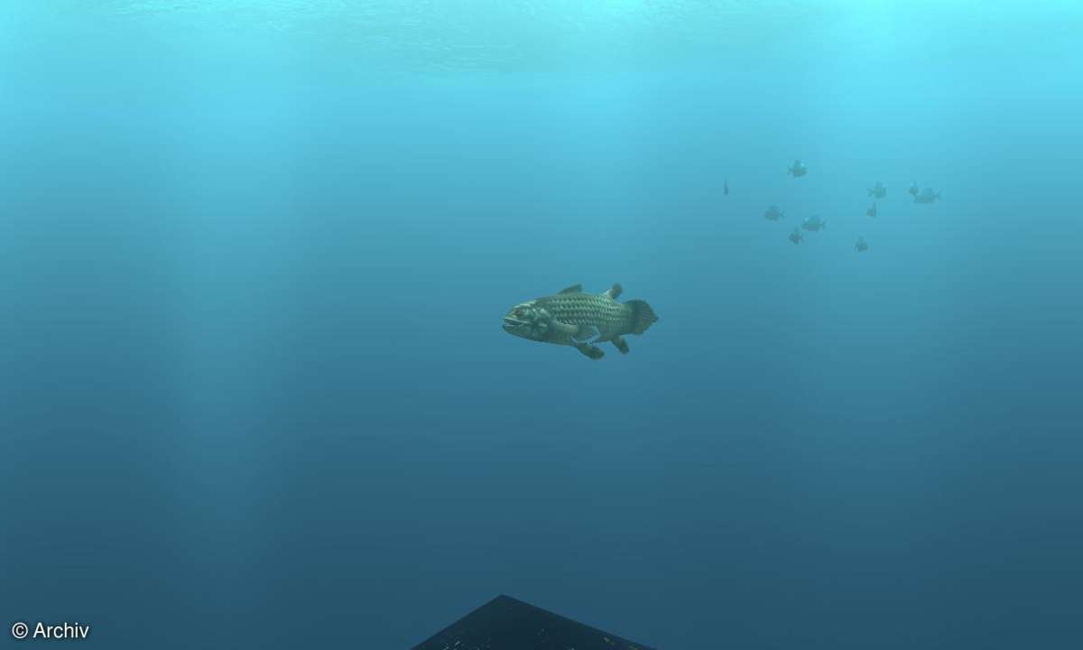 S.A.D. Digifish