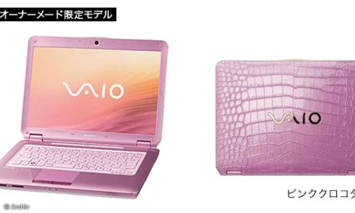 Sony Vaio CS-Serie