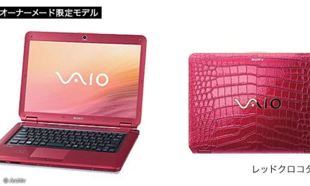 Sony Vaio CS-Serie