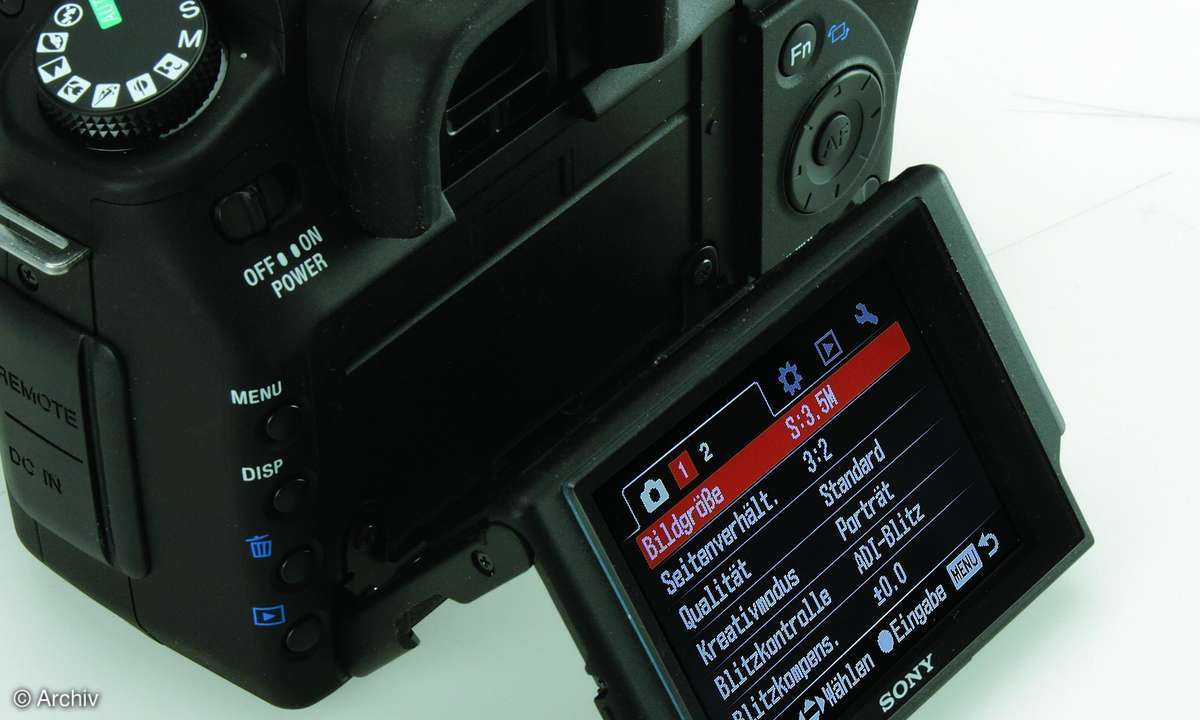 Digitale Spiegelreflexkameras der 12-Megapixel-Klasse