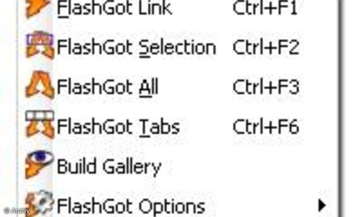 Firefox-AddOn: FlashGot