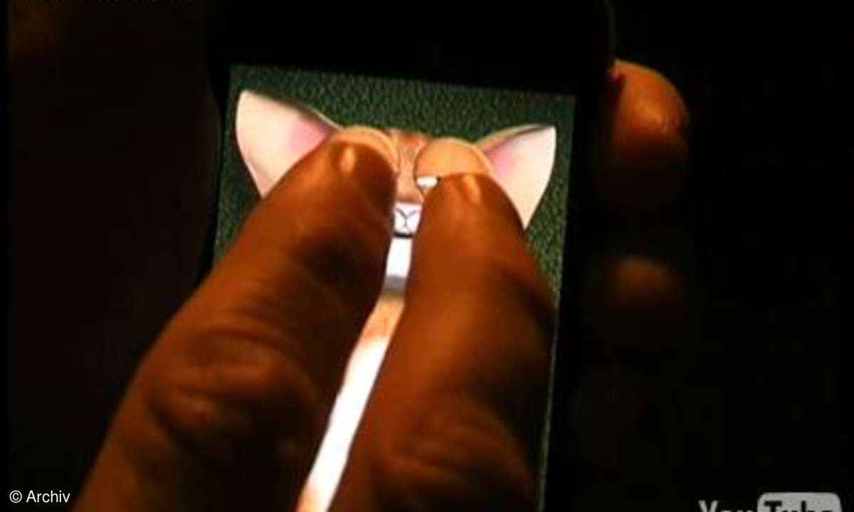Fiese Katzenfolter mit iKitty