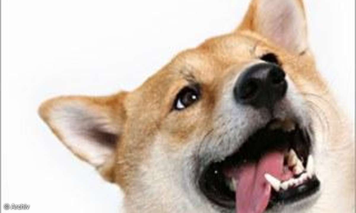 Flickr-App fürs iPhone