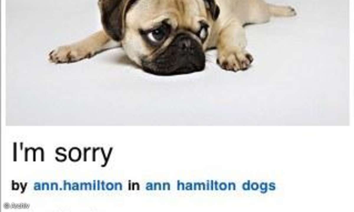 Flickr-App fürs iPhone