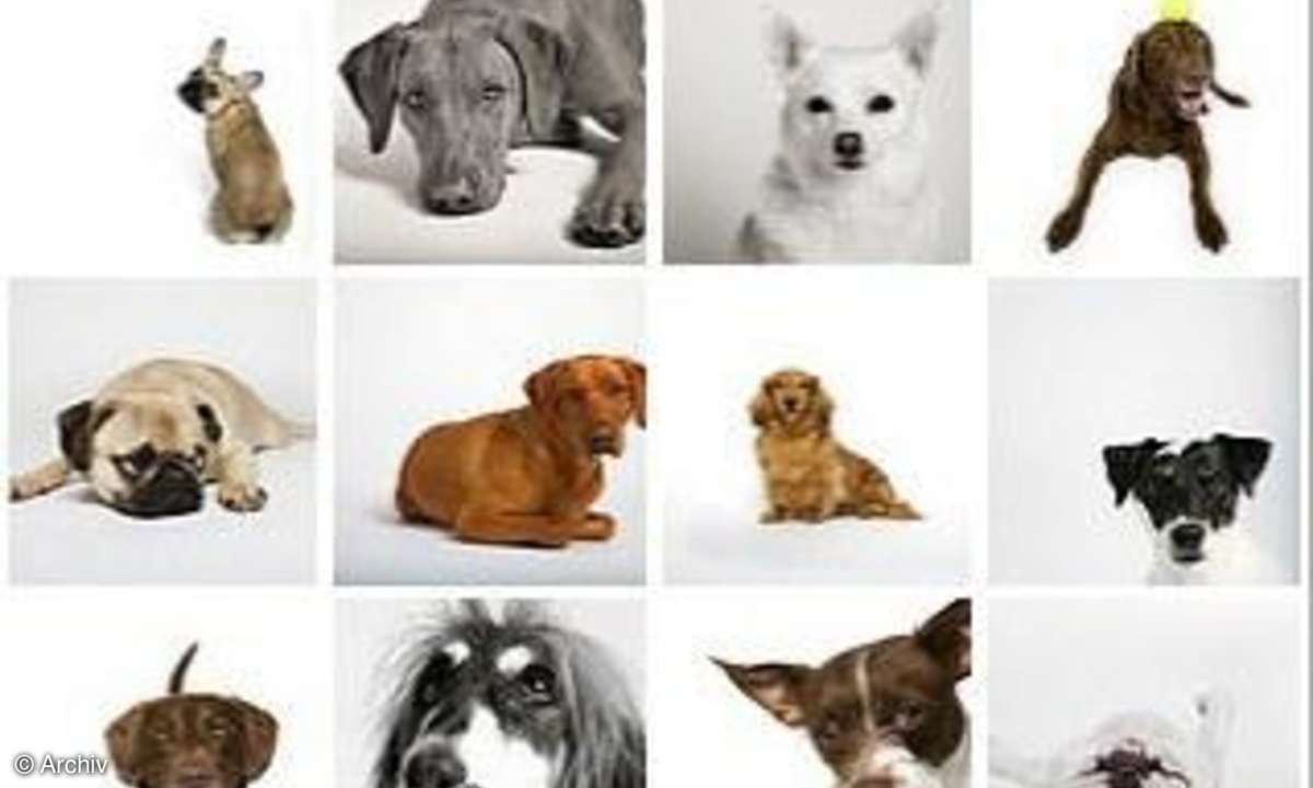 Flickr-App fürs iPhone