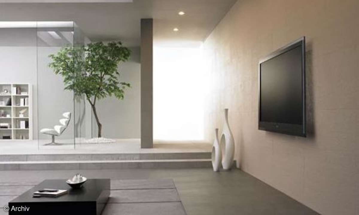 LG 55LHX