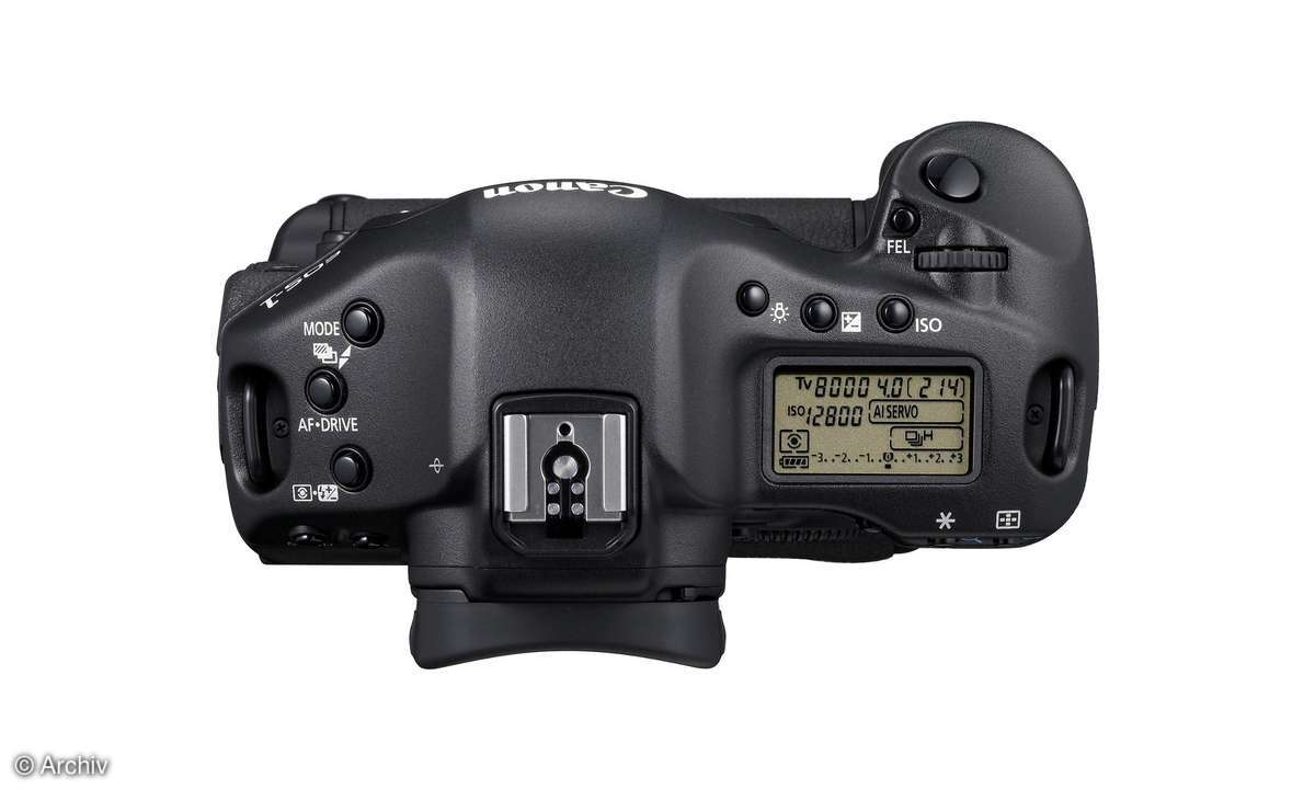 Canon EOS-1D