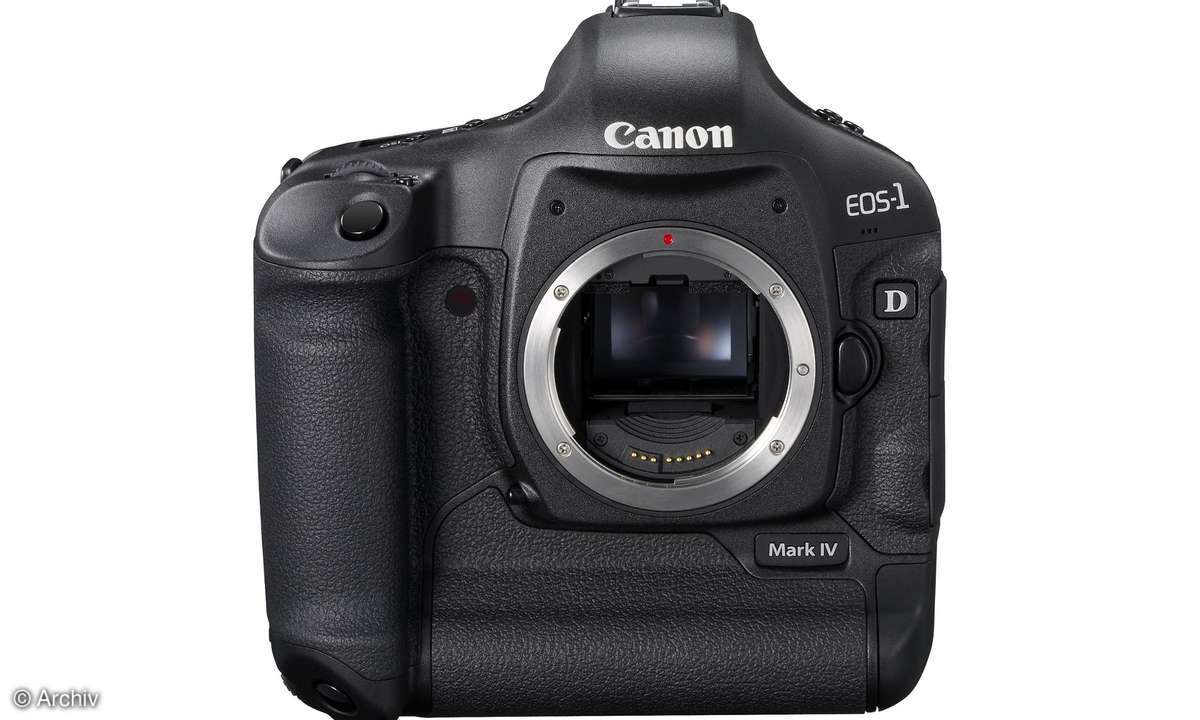Canon EOS-1D