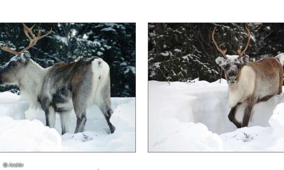 Fototipps für die kalte Jahreszeit
