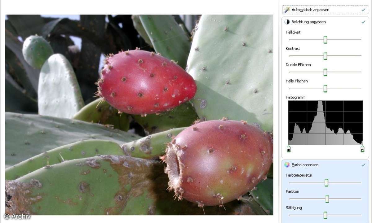 Windows Live Fotogalerie