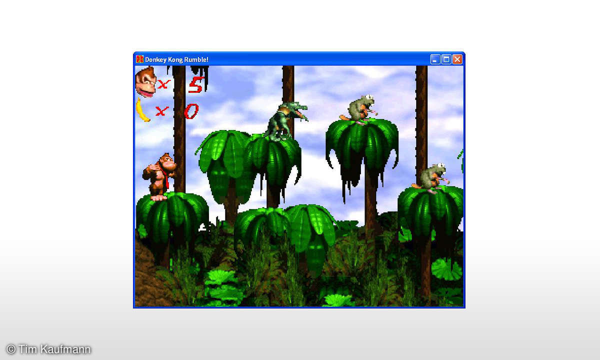 Donkey Kong Rumble