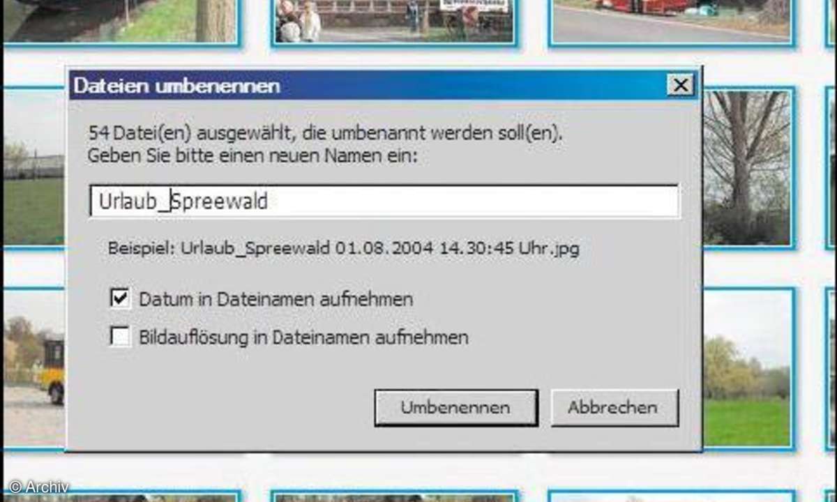 Picasa Oberfläche Namenszuweisung