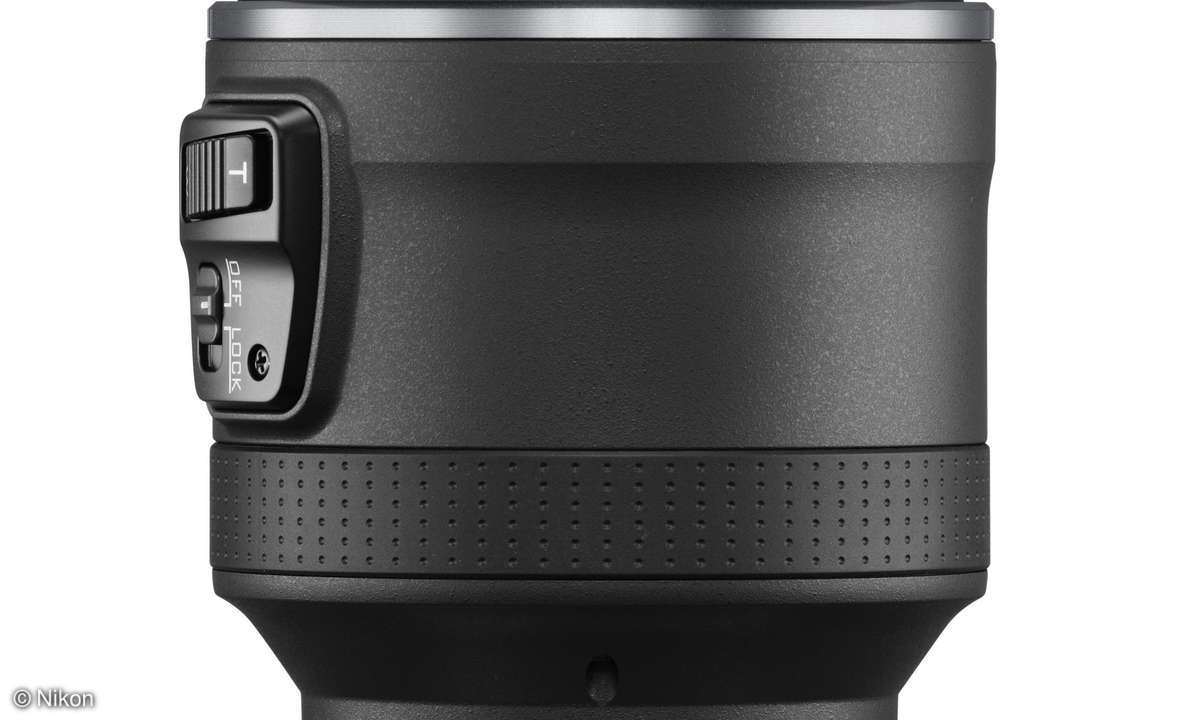 1 Nikkor VR 10-100 PD f4,5-5,6 b