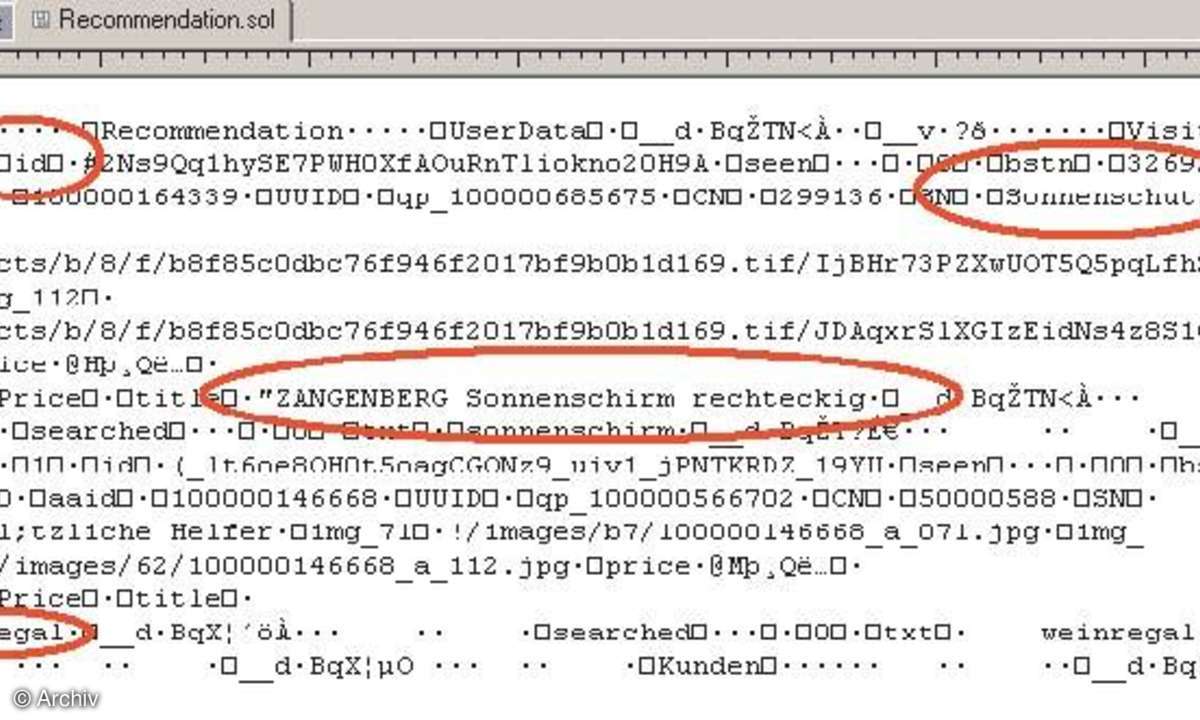 Analyse eines Super-Cookies