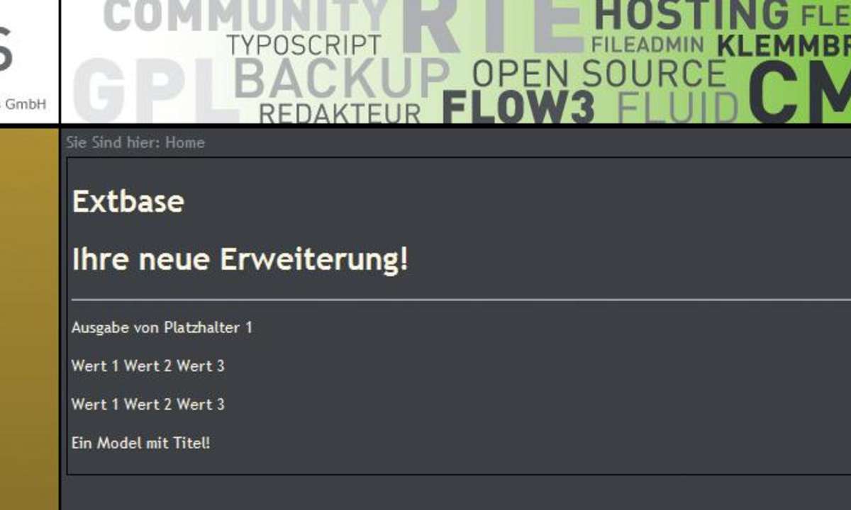 Typo3 mit Fluid