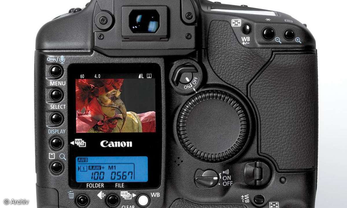 Canon-1Ds mkII Rückseite/Display