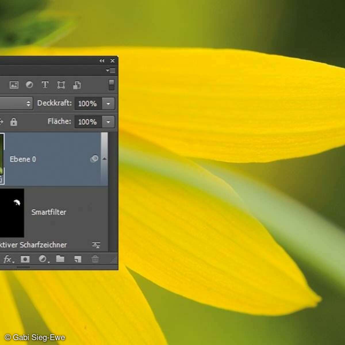 Arbeiten mit Smart-Objects