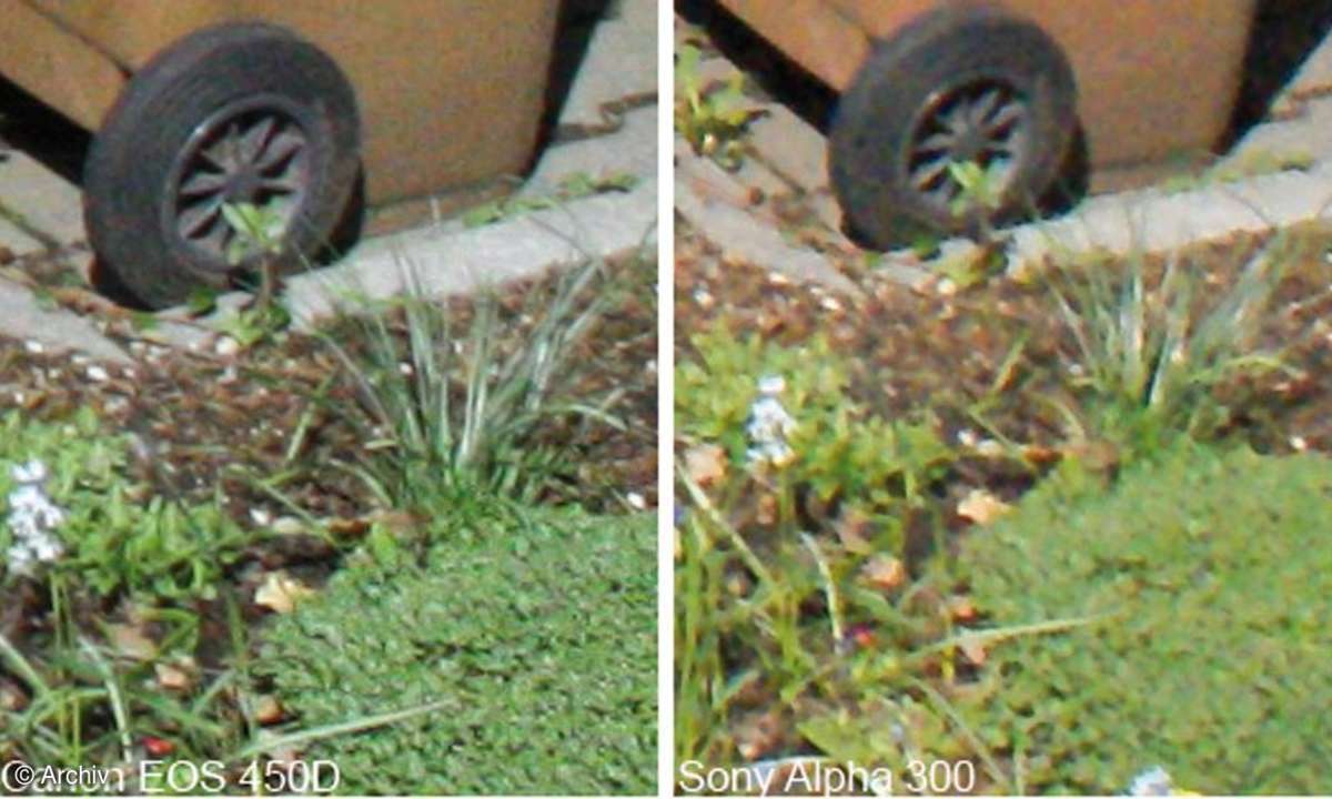 ISO 1600